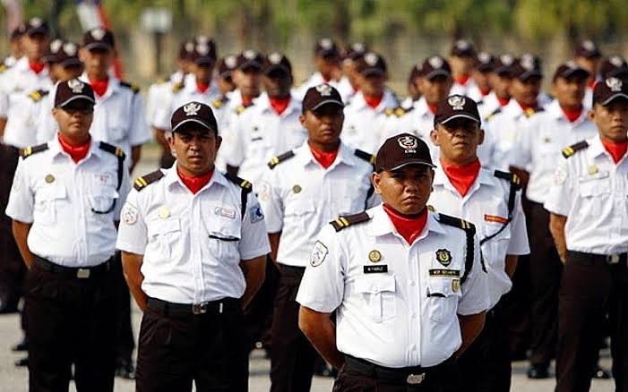 Professional Security Guards & Protective Services